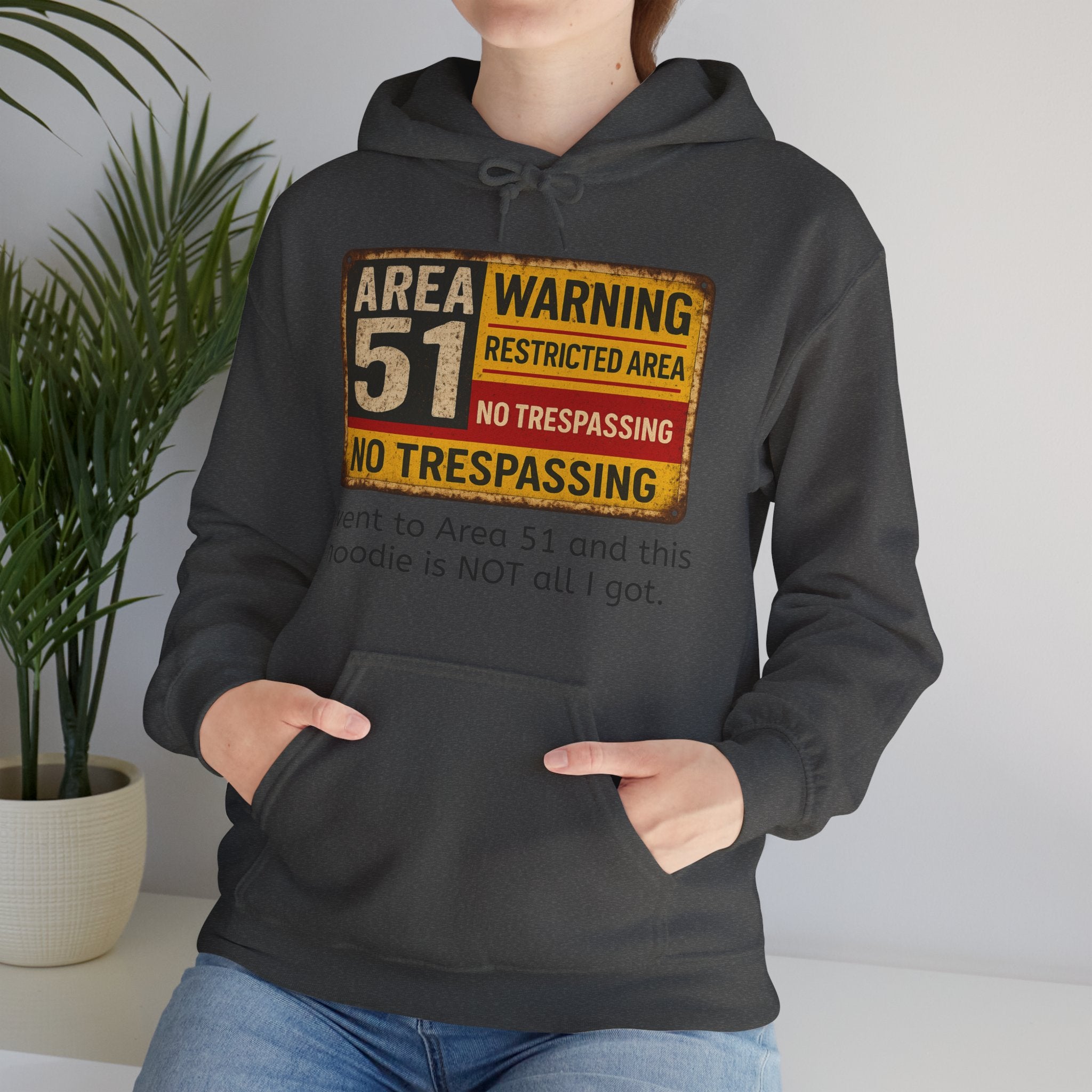 “I went to Area 51 and this hoodie is NOT all I got” Alien Hoodie