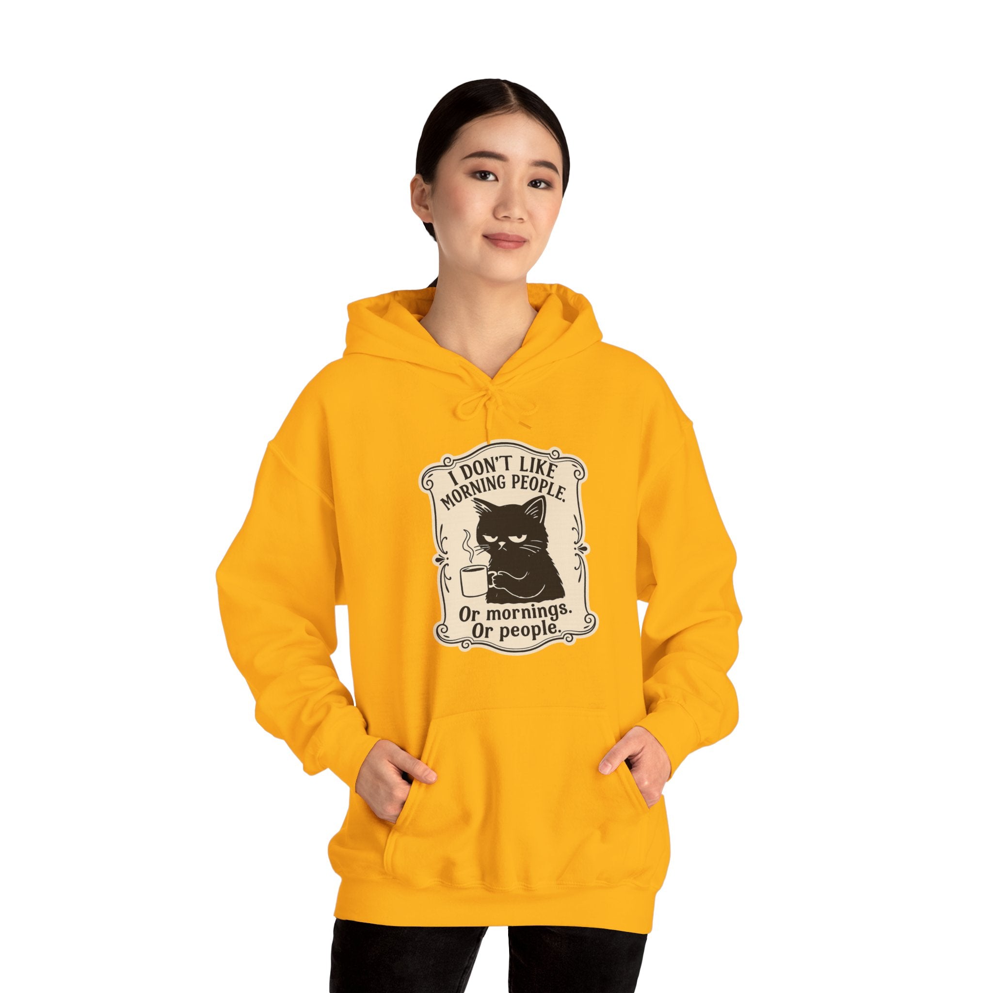 Cozy Cat Lover's Hoodie - 'I Don't Like Morning People' Design