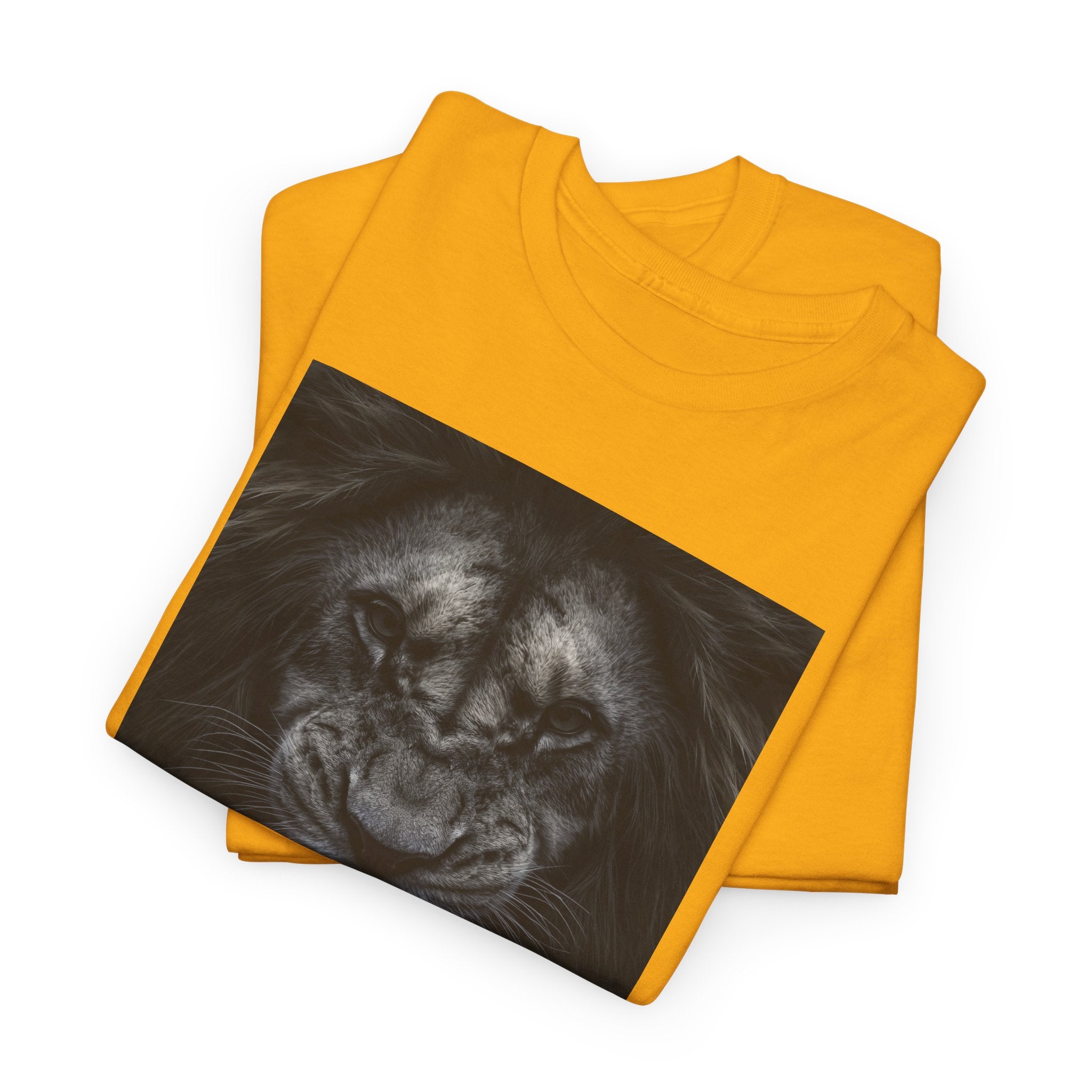 Remind yourself, more than others, who you are.